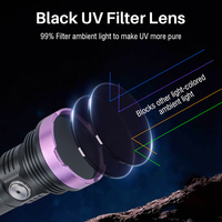 Boruit lampu senter UV 13W 365nm, lampu LED Ultraviolet isi ulang USB Mini untuk kucing Ore tinea kulit kalajengking pemeriksa uang