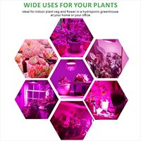 Lampe de culture pour plantes Plant Grow A60 avec capteur SMD LED, base à 230 degrés E26, ampoule de culture pour fruits du dragon