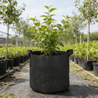 Sacs de culture en tissu d'extérieur résistants aux UV, jardinières pour légumes et herbes