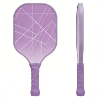 Pickleball Source Factory Custom Wholesale Durable 74mm Floor Ball PE Material Practice Pickle Ball Certified USAPA