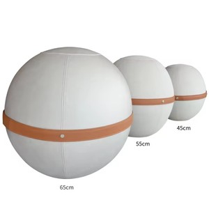 Biểu Tượng Tùy Chỉnh 55Cm Văn Phòng Và Bàn Tập Thể Dục Bóng Ghế Pilates Yoga Phòng Tập Thể Dục Phong Cách Ghế Nhựa Với Bìa Có Sẵn Trong 65Cm Kích Thước - Product Image 4