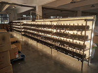 Kit d'éclairage continu professionnel pour photographie, boîte à lumière Softbox 2700 6500K, éclairage réglable pour studio et portraits
