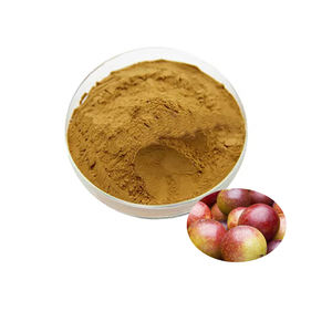 100% <span class=keywords><strong>Camu</strong></span> สารสกัดจากผลไม้ผงวิตามินซีเกรดอาหาร - Product Image 2