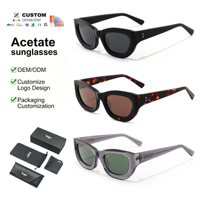 Lunettes de soleil tendance personnalisées avec logo UV400, style œil de chat, pour hommes et femmes, monture en acétate à la mode, Gafas De Sol, vente en gros
