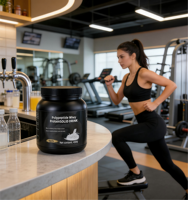 Poudre de protéines de lactosérum naturelle OEM ODM en marque privée pour hommes et femmes adultes, gain de masse musculaire rapide, halal, 450g, fitness