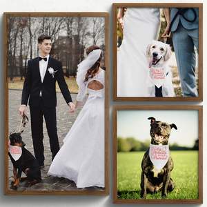Cadeau de fiançailles, Bandana pour chien « Mes humains se marient », Accessoire photo de mariage, Écharpe pour animal de compagnie, Annonce de fiançailles pour chien - Product Image 4