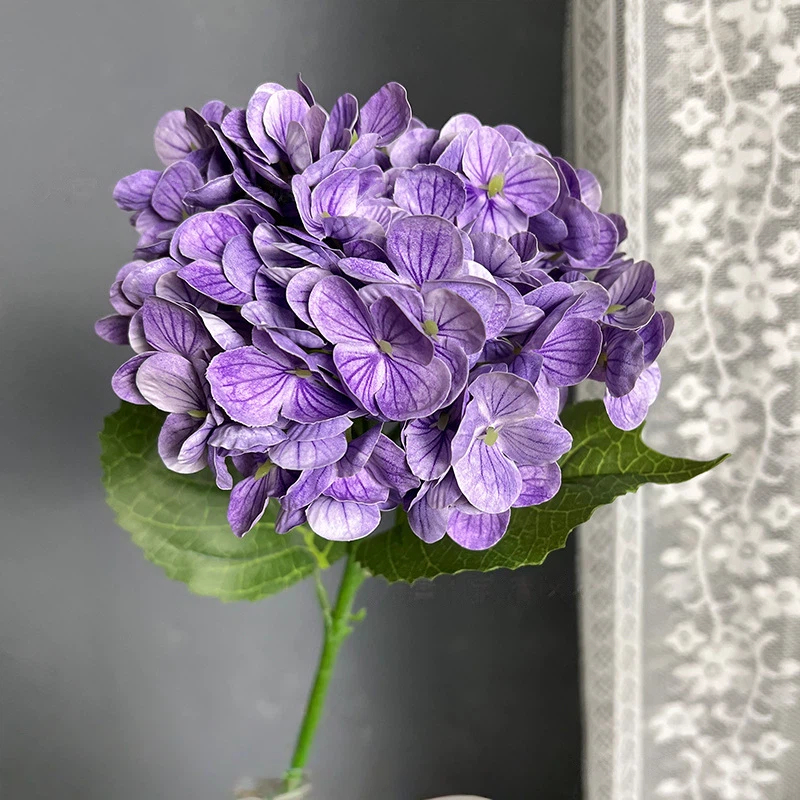 Pourpre