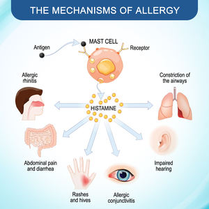 Sumifun, лидер продаж, крутая Антибактериальная противовоспалительная мазь для кожи, 2025 дерматитная мазь, 20 г - Product Image 3