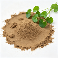 Poudre d'extrait de Gotu Kola de qualité alimentaire - Centella Asiatica standardisée avec 10 % d'Asiaticoside total, emballage en fût de 25 kg