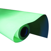 Cinta Luminosa que Brilla en la Oscuridad, Película Fotoluminiscente, Material de Vinilo Autoadhesivo, Cinta Luminosa