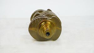 צני 4d95 4d95 4d95l 6204-31-1201 komatsu PC120-6 - Product Image 3