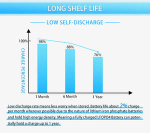 Batterie lithium-ion à décharge profonde <span class=keywords><strong>Sohigh</strong></span> LiBAT-48V100AH 12V/24V 300AH 100A avec chargeur 150A et longue durée de vie du cycle - Product Image 6