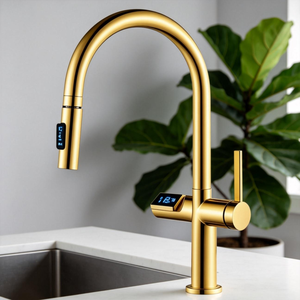 <span class=keywords><strong>Robinet</strong></span> de cuisine extractible à levier unique, économiseur <span class=keywords><strong>d</strong></span>'<span class=keywords><strong>eau</strong></span>, anti-brûlure, avec affichage numérique de la température et rotation à 360° pour évier de cuisine - Product Image 1