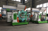 Machine à granulés automatique de sciure de bois de biomasse de 1 à 3 tonnes par heure Ligne complète de granulés pour paille de riz