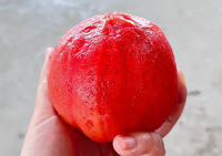 Apparatuur voor het verwijderen van aardappelhuid, aardappelverwerkingslijn, hogedruk aardappel-stoomschilmachine