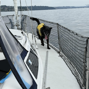 <span class=keywords><strong>Filet</strong></span> de sécurité noir pour bateaux, 0,6x50 mètres, pour la sécurité maritime, <span class=keywords><strong>filet</strong></span> de pont, <span class=keywords><strong>filet</strong></span> de garde-corps de navire - Product Image 2