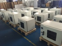 Four de séchage à air chaud Four de séchage de laboratoire numérique Offre Spéciale