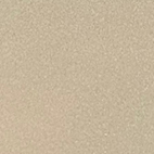 Champagne silver