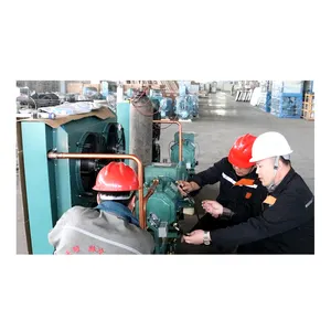 Compresseur de réfrigération de chambre froide de Copeland de piston semi-hermétique de Tianshun pour l'unité de condensation à vendre