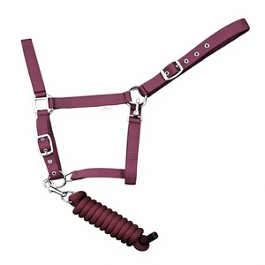 Customized Personalized Nylon Horse Padded <b>Halter</b> English Saddle Rope Lead High Quality Waterproof Durable OEM Custom Logo - Product Image 4