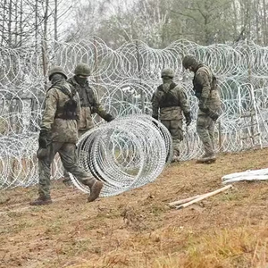 Alambre de púas en espiral tipo concertina de hierro duradero marca SQ, galvanizado en caliente, con clips, para seguridad, alambre de púas en forma de línea - Product Image 1