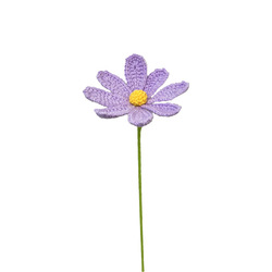 Fleur de gesang violette