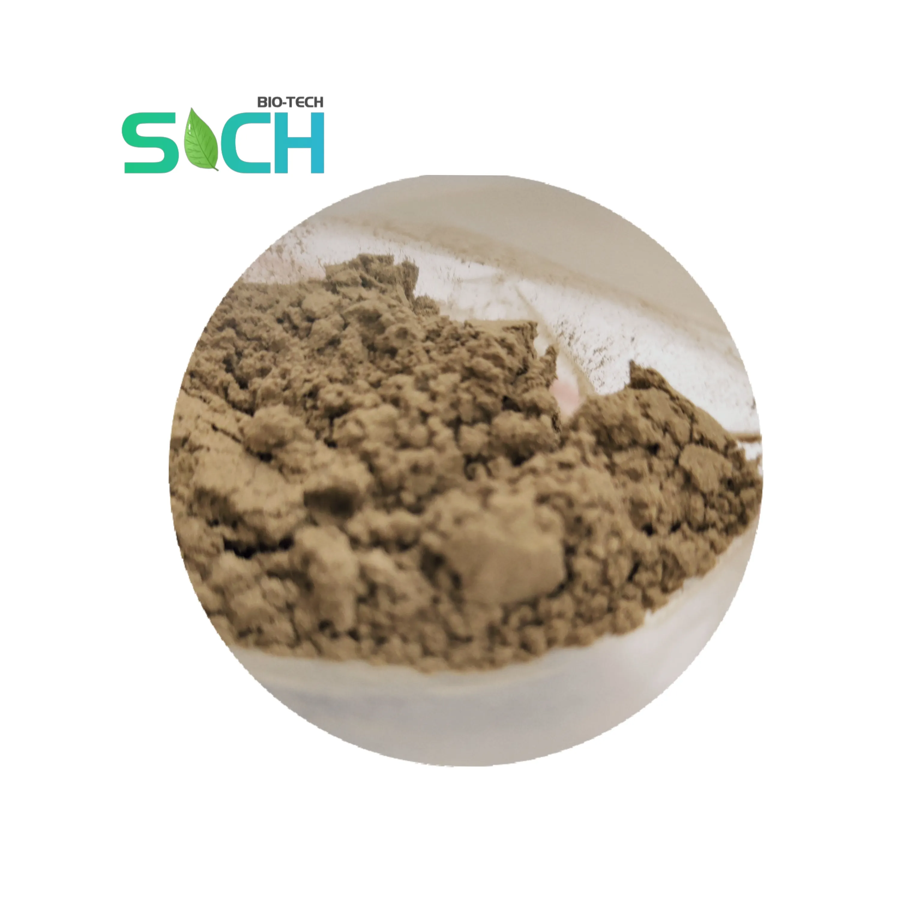 SICH מפעל אספקת טבעי אצות לקלף אבקת 70% 20% ספוג Spicule Spongilla Spicules