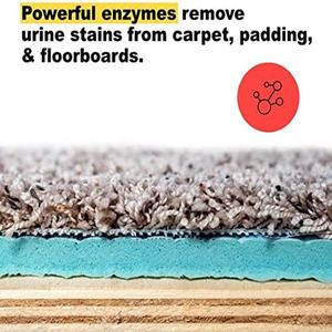 Éliminateur d'odeurs pour animaux domestiques, <span class=keywords><strong>prix</strong></span> de gros, <span class=keywords><strong>Orange</strong></span>, élimine les taches d'animaux, les odeurs d'urine, nettoyage des tapis, déodorant pour chat et chien - Product Image 4