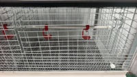 Cage à poulets à 4 niveaux et 2 portes en acier à faible teneur en carbone, capacité 80 oiseaux, durable