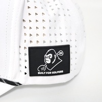Gorra de Golf Personalizada OEM de Alto Rendimiento con Bordado 3D, Gorra Deportiva de Béisbol para Hombre, Impermeable, Transpirable y Perforada, Venta al Por Mayor