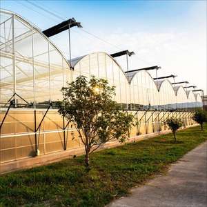 <span class=keywords><strong>Plaque</strong></span> en <span class=keywords><strong>polycarbonate</strong></span> massif personnalisable <span class=keywords><strong>de</strong></span> haute qualité, 5-8 mm, résistante aux UV, givrée, pour les grandes constructions agricoles multi-voûtes - Product Image 3