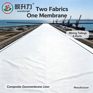 Membrane géocomposite HDPE de haute qualité WSL : deux géotextiles, un film, pour les résidus miniers et les ports – Écologique - Product Image 1