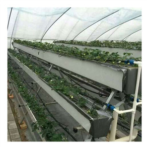 Invernadero Hidropónico Grande de Doble Capa, Maceta Larga de PVC con Tabla de Drenaje Automático <span class=keywords><strong>para</strong></span> <span class=keywords><strong>Fresas</strong></span> y Col Rizada, Duradero - Product Image 1