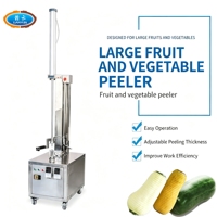 Grote elektrische fruit- en groenteschilmachine voor het schillen van pompoen, wintermeloen en waxgourd.