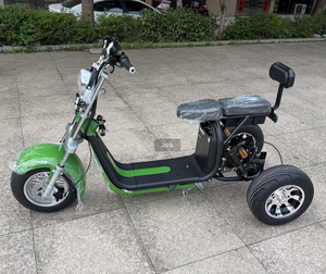Unisex Tricycle EEC Approved Dirt Scooter Motorcycle 2000w Powerful 3000W Scooters Y20 High-Powered Motor 2000W Motor Delivers E - Product Image 1