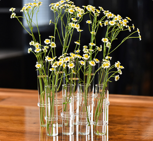 Vase <span class=keywords><strong>en</strong></span> <span class=keywords><strong>verre</strong></span> pliable écologique pour fleurs et verdure hydroponique, idéal pour la maison et le jardin - Vente <span class=keywords><strong>en</strong></span> <span class=keywords><strong>gros</strong></span> - Product Image 6