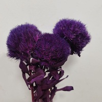 Bahan Bunga Dianthus Awetan Grosir untuk Florist, Buket Pernikahan, Rangkaian Bunga, Kerajinan DIY