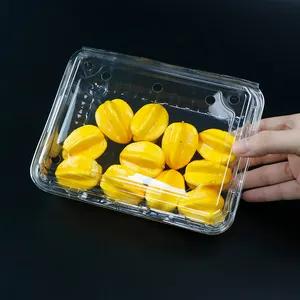 Salad Clamshell Box Packaging Disposable PET Plastic Container Salade Container Fruit Packaging Tray