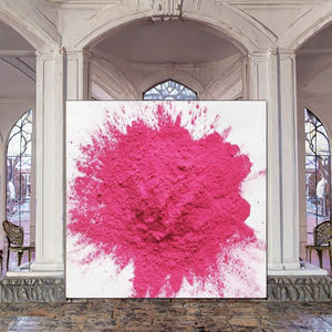 Vente en gros de sacs de poudre de fumée colorée biodégradable à base d'amidon de maïs de 100g pour révélation du sexe, lanceurs de fête, Pâques, Noël, et coloration Holi sûre - Product Image 2