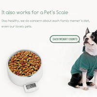Offre Spéciale chat chien animal de compagnie en acier inoxydable pesé accessoires d'alimentation pour animaux de compagnie bol d'alimentation lente pour eau nourriture bol d'alimentation pour animaux de compagnie