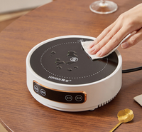 Cuisinière à thé électrique en céramique, petite, ronde, portable, pour la maison et l'extérieur, 110V