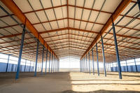 Bâtiment d'usine préfabriqué en structure acier à prix réduit, tailles personnalisables, plans d'atelier et d'entrepôt, garantie 3 ans, résistant aux vents forts