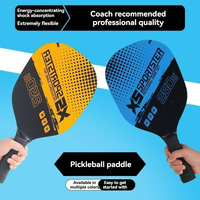 Raquette de pickleball légère en bois, ensemble de plage avec balles, équipement de sport et de fitness pour l'entraînement en extérieur, double raquette, 4 balles, sac, 450g