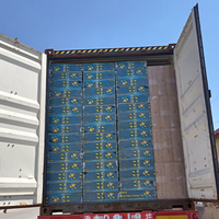 Plaques de plafond acoustiques modernes carrées en fibres minérales, résistantes à l'humidité, ignifuges pour bâtiments commerciaux