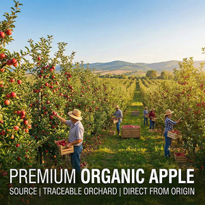 ผงน้ำส้ม<span class=keywords><strong>ส</strong></span>ายชูแอปเปิ้ลธรรมชาติ กรดอะซิติก 5%/10% โพลีฟีนอลจากแอปเปิ้ล เพคติน วิตามิน <span class=keywords><strong>ส</strong></span>าร<span class=keywords><strong>ส</strong></span>กัดสมุนไพร อาหารเพื่อ<span class=keywords><strong>ส</strong></span>ุขภาพ เกรดอาหาร - Product Image 6