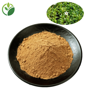 ผงสกัด bacopasides <span class=keywords><strong>Bacopa</strong></span> <span class=keywords><strong>monnieri</strong></span> บริสุทธิ์100% ผงสารสกัดจาก <span class=keywords><strong>Bacopa</strong></span> <span class=keywords><strong>monnieri</strong></span> - Product Image 3