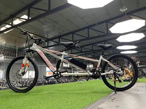 Eurobike Nhà Máy Của 36V 350W Điện Hai Người Leo Núi Đi Xe Đạp Song Song Xe Đạp - Product Image 2