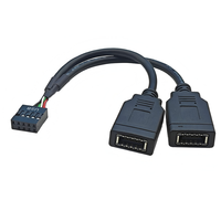 Câble d'extension de données adaptateur 9 broches pour carte mère 15 cm vers USB 2.0 AF + Type-E femelle