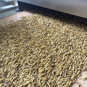 Larve di Mosca Soldato Nera Essiccate 100% Naturali di Alta Qualità, Mangime per Uccelli, Polli e Anatre - Product Image 4