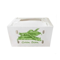 Vente en gros échantillon gratuit boîte de fruits et légumes en plastique ondulé PP couleur personnalisée boîte de gingembre